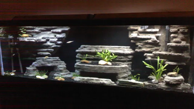 How to DIY 3D Concrete Aquarium Background – Step-by-Step Guide