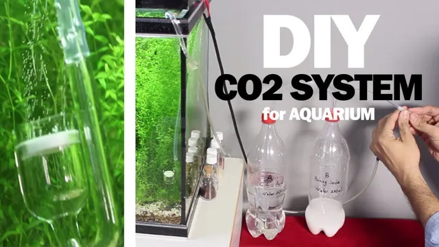 how to diy co2 for planted aquarium tutorial