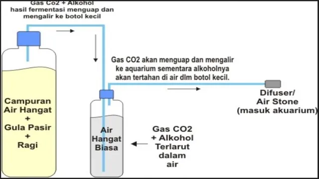 How to DIY CO2 System for Aquarium Plants Tutorial: Step-by-Step Guide