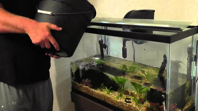 How to do a 50 Water Change in an Aquarium: A Beginner’s Guide to Proper Fish Care