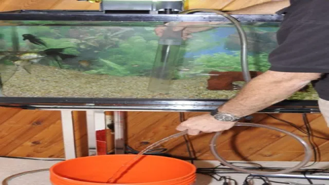 How to Do a Complete Water Change in an Aquarium – Step by Step Guide