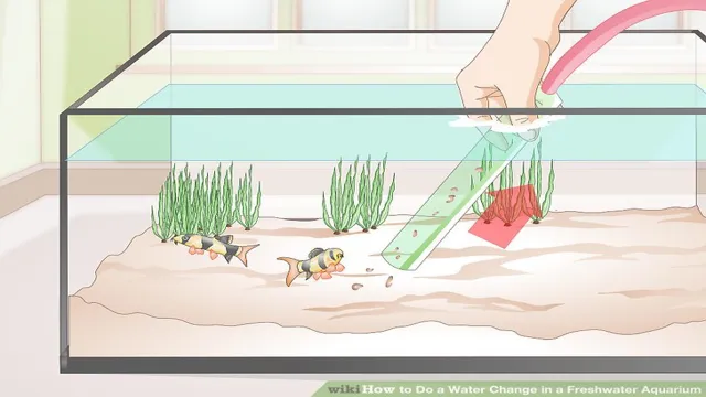 how to do a partial water change in tropical aquarium