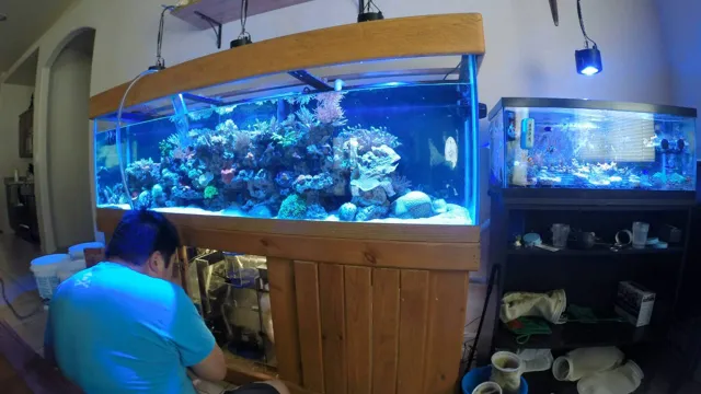 how to do a water change in a saltwater aquarium