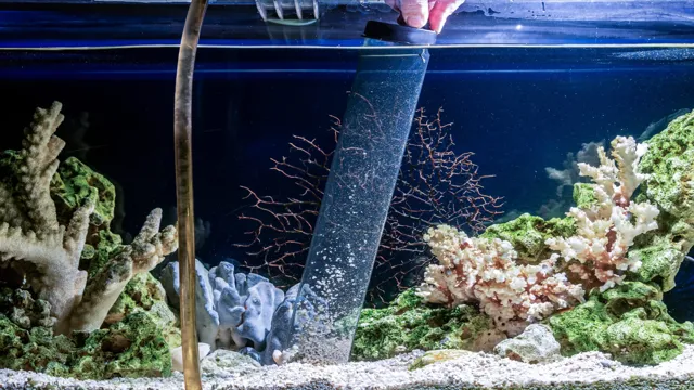 How to Do an Aquarium Water Change the Right Way: Tips and Tricks