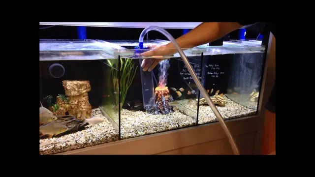 how to do aquarium water change with gravel vacuum
