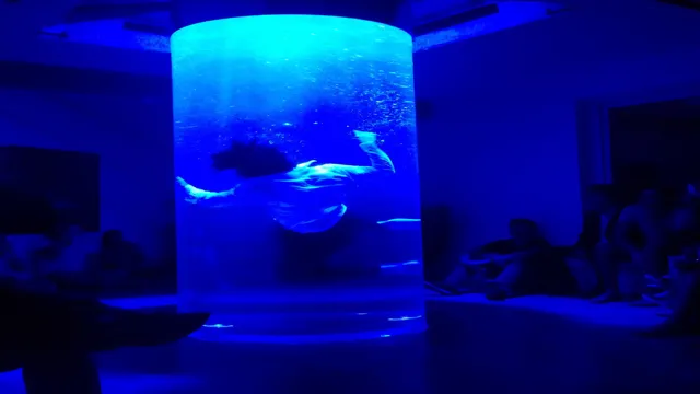 how to do human aquarium trick