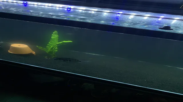how to do large water change in large aquariums
