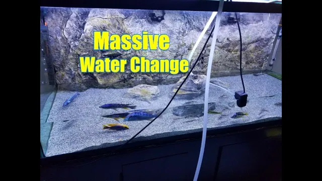 How to do Large Water Change in Large Aquariums: The Ultimate Guide for Beginners