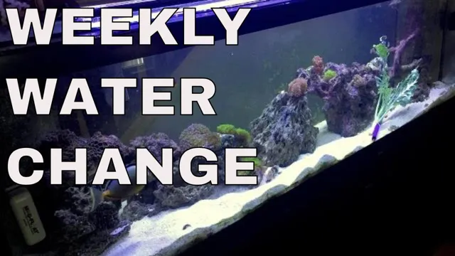 how to do water changes in saltwater aquarium