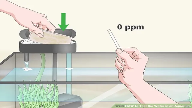 how to do water test in aquarium