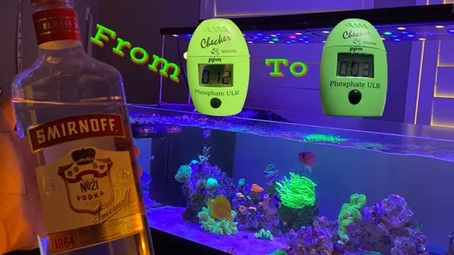 how to dose a reef aquarium manually