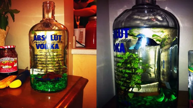 How to Dose Aquarium with Vodka: A Beginner’s Guide to Safe and Effective Treatment