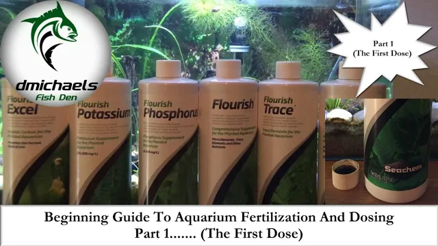 How to Dose Fertilizer in Aquarium for Healthy Plant Growth: Essential Guide