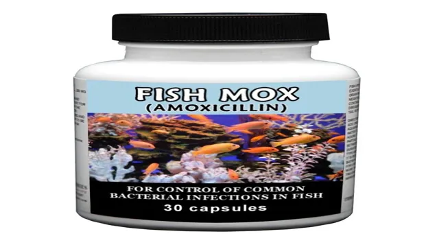 how to dose fish mox capsules in an aquarium