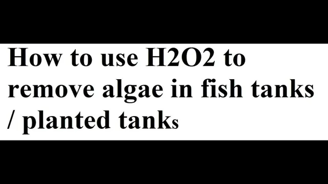 how to dose h2o2 aquarium