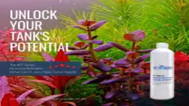 how to dose liquid fertilizer every day aquarium