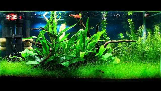 How to Dose Planted Aquarium Low Tech: A Simple Guide for Healthy Aquatic Plants