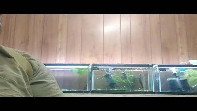 how to drain a large aquarium