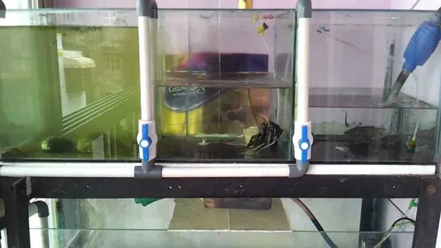 how to drain an aquarium on the floor