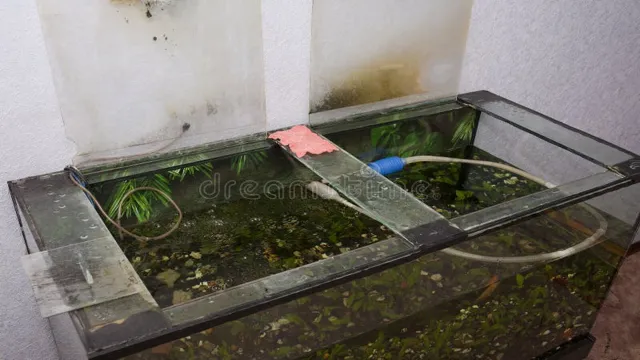 How to Drain an Aquarium on the Floor: The Complete Guide for Beginners.