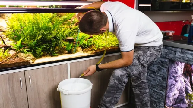 How to Drain and Clean an Aquarium: A Complete Guide for…