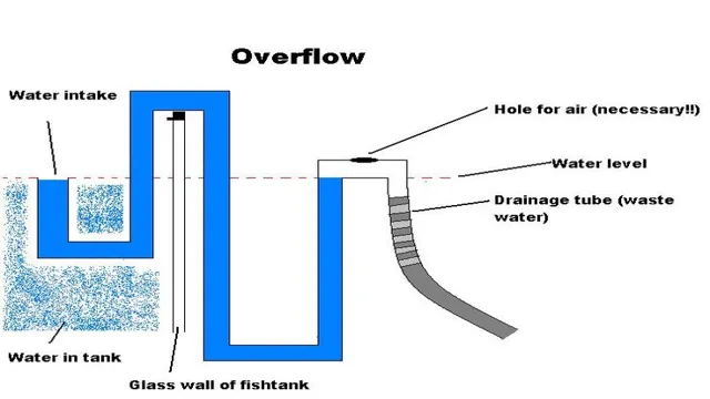 How to Drain Freshwater Aquarium: A Step-by-Step Guide