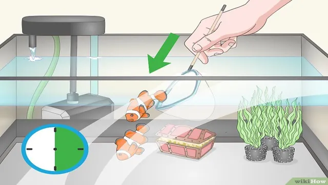 How to Drastically Increase pH in a Aquarium: Simple Tips and Tricks