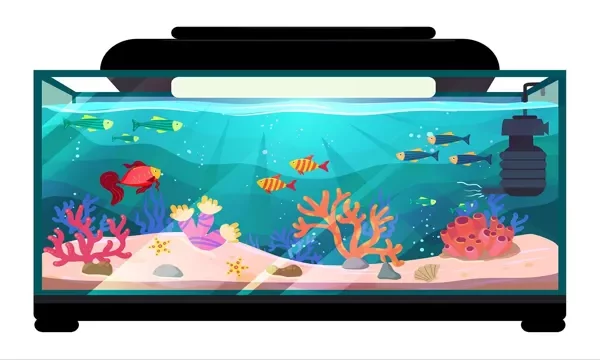 How to Draw Aquarium Background: Tips and Techniques…