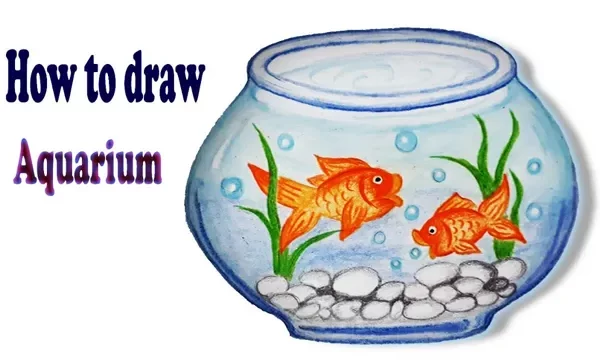 How to Draw Aquarium Images: Tips & Techniques…