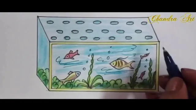 how to draw aquarium step by step