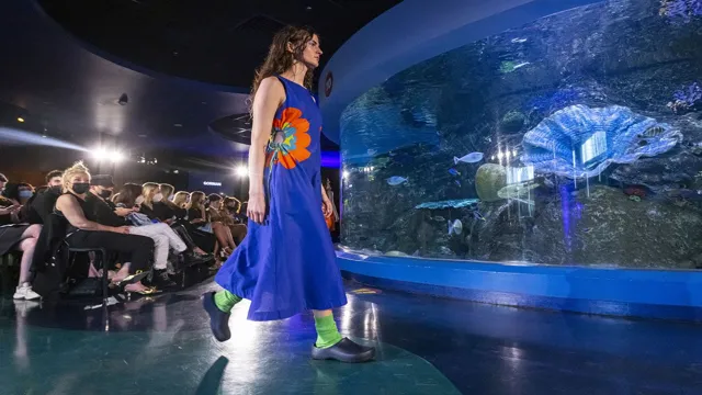 How to Dress for the Aquarium San Francisco: A Guide for Exploring the Marine World