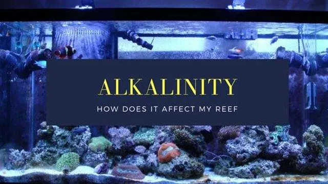how to drop alkalinity in aquarium