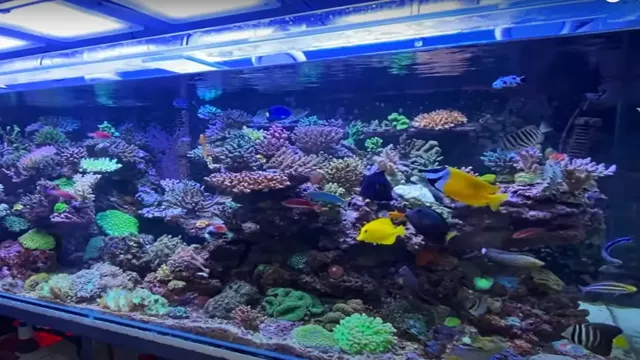 how to drop kh in aquarium