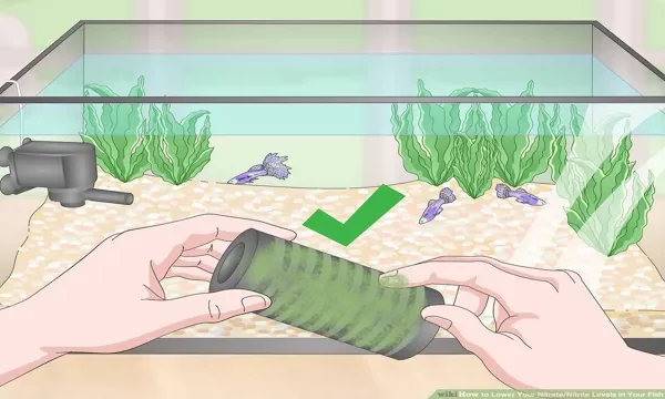 How to Drop Nitrates in Aquarium: Effective Strategies&hellip;