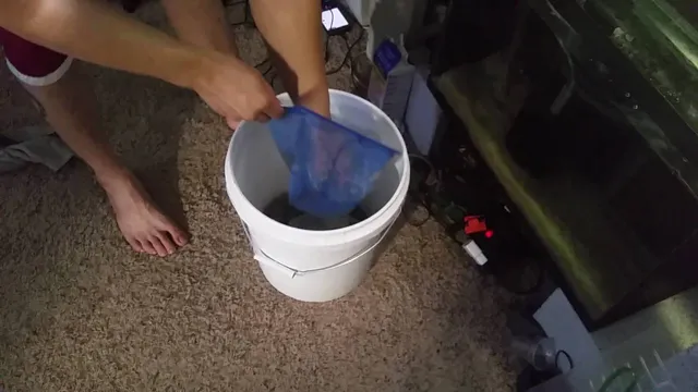 how to dry out aquarium sand