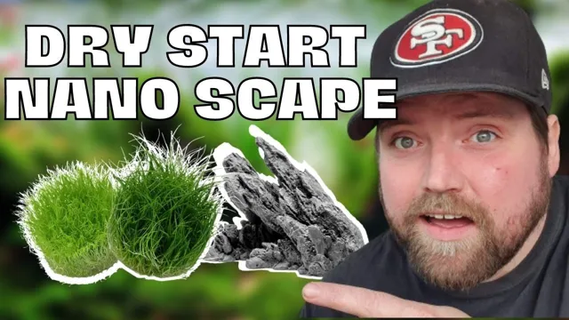 How to Dry Start Method Planted Aquarium: Tips and Techniques