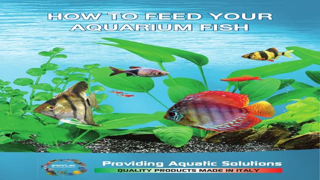 How to Feed Freshwater Fish in an Aquarium: Tips and Tricks for Healthy Nutrition