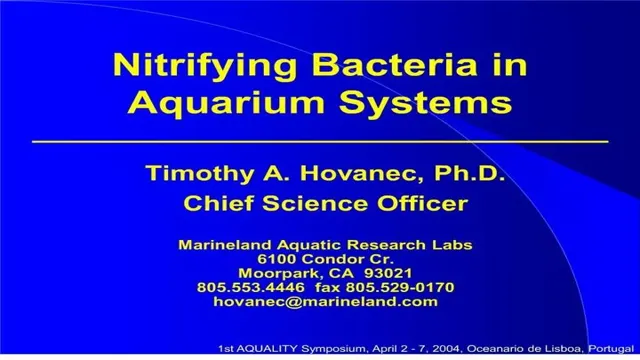 how to feed nitrifying bacteria in aquarium