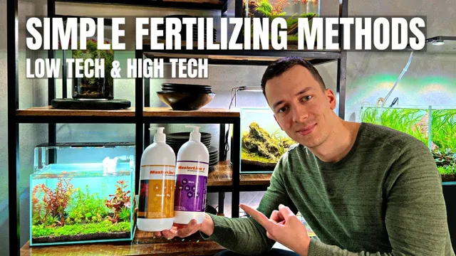 How to Fertilize Aquarium Plants for Optimal Health and Growth: A Comprehensive Guide