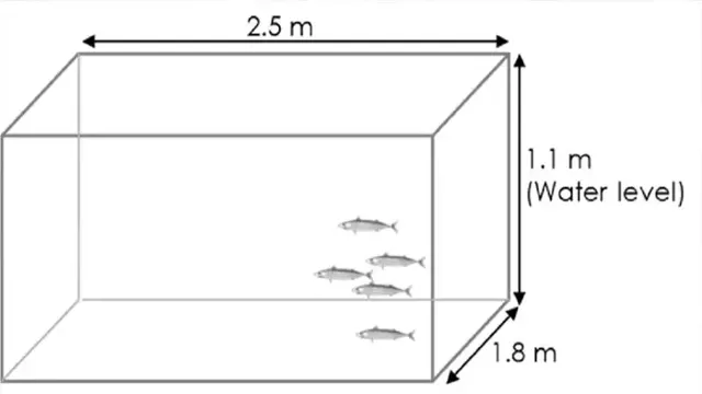 how to figure amount of fish for aquarium
