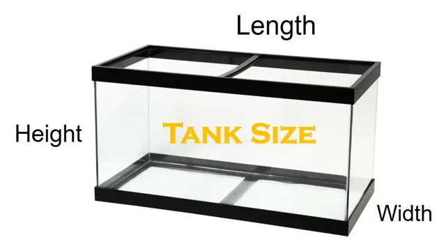 how to figure aquarium size