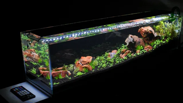 How to Figure What Light for Planted Aquarium: A Beginner’s Guide