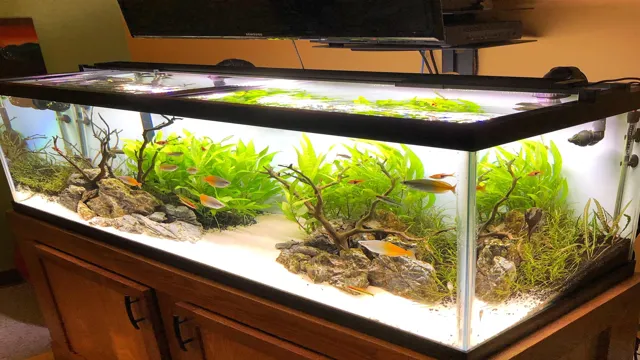 How to Fill a 75 Gallon Aquarium with Water, Gravel, and Decorations for Happy Fish