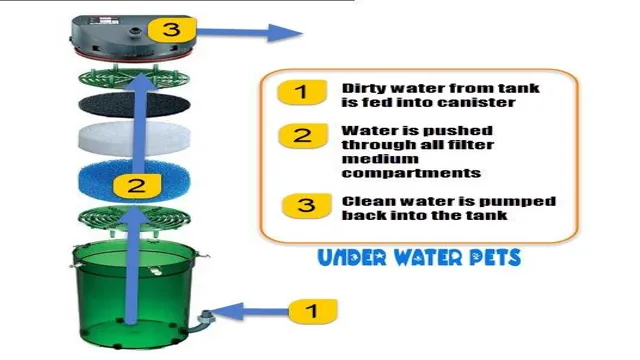 How to Fill a Canister Filter for Aquarium: A Step-by-Step Guide for Cleaner Water