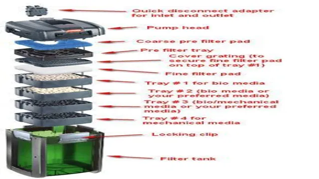 How to Fill an Aquarium Cannister Filter – The Ultimate Guide for Beginners