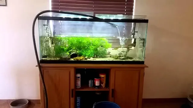 How to Fill Large Aquarium with Water: A Comprehensive Guide