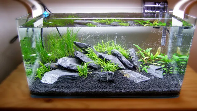 how to fill planted aquarium