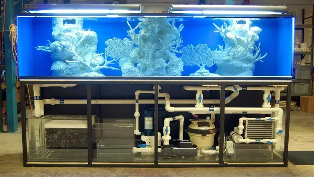 how to filter aquarium water with plants for whiting fish