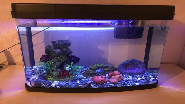 how to filter light for aquarium tank
