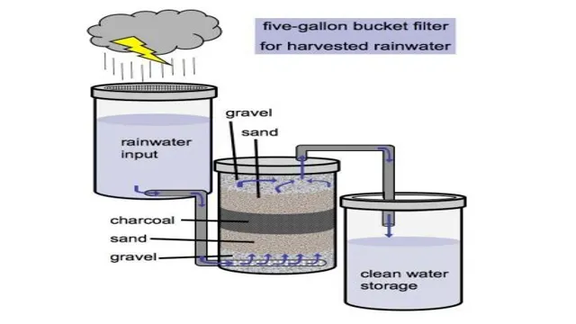 How to Filter Rainwater for Aquarium: A Complete Guide for Optimal Water Quality